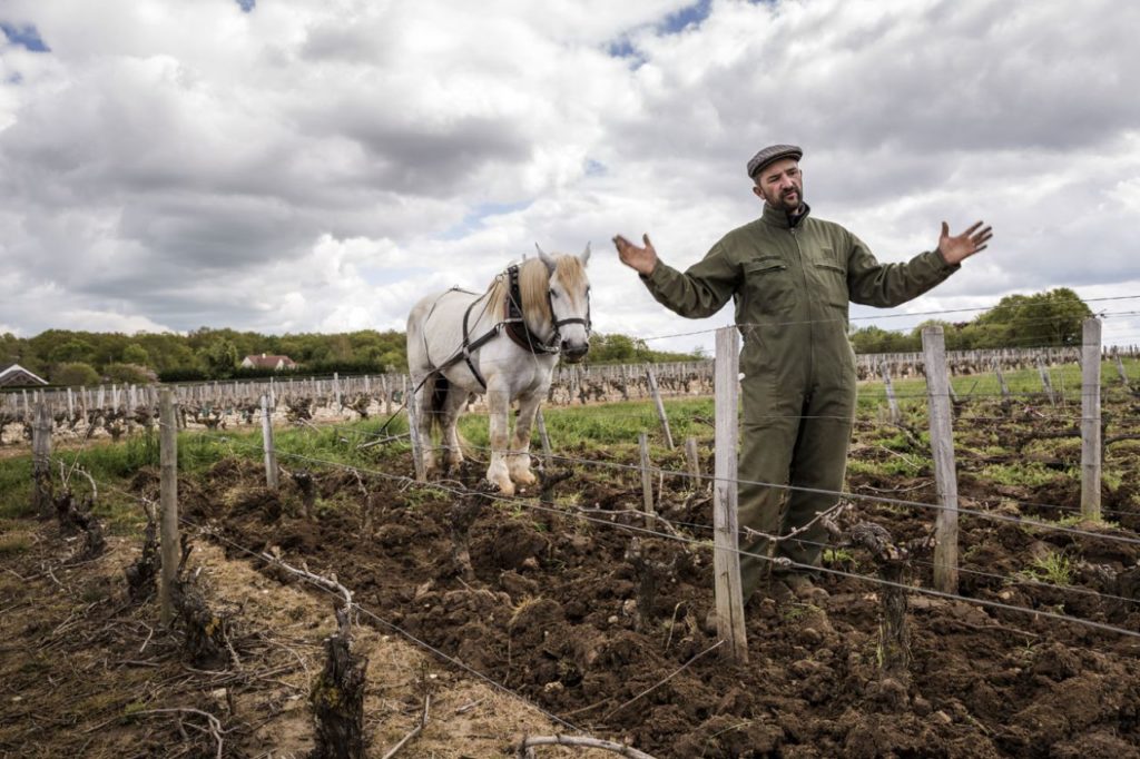 Parched + Dan's Presents: Alexandre Bain :)