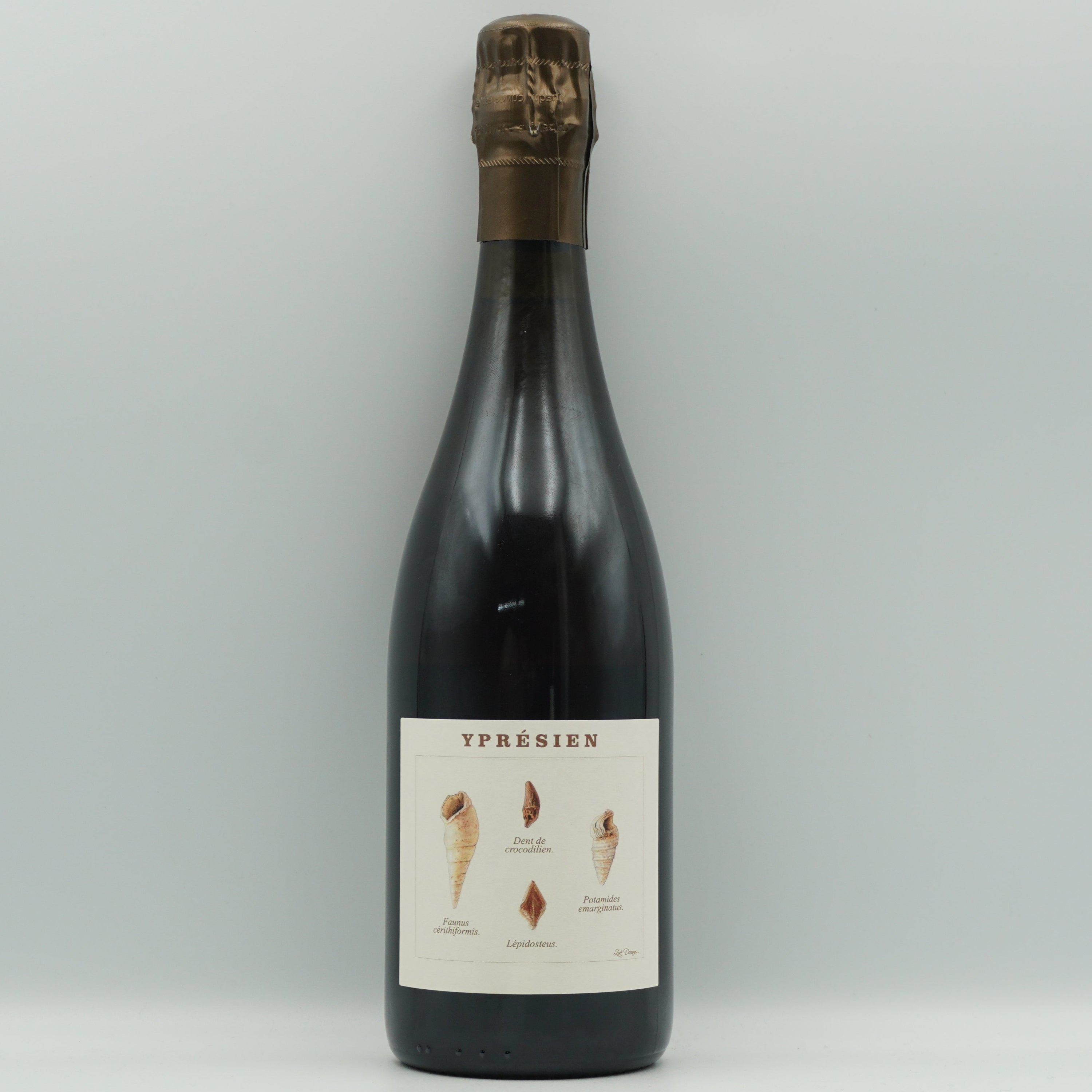 Legrand-Latour, Yprésien NV