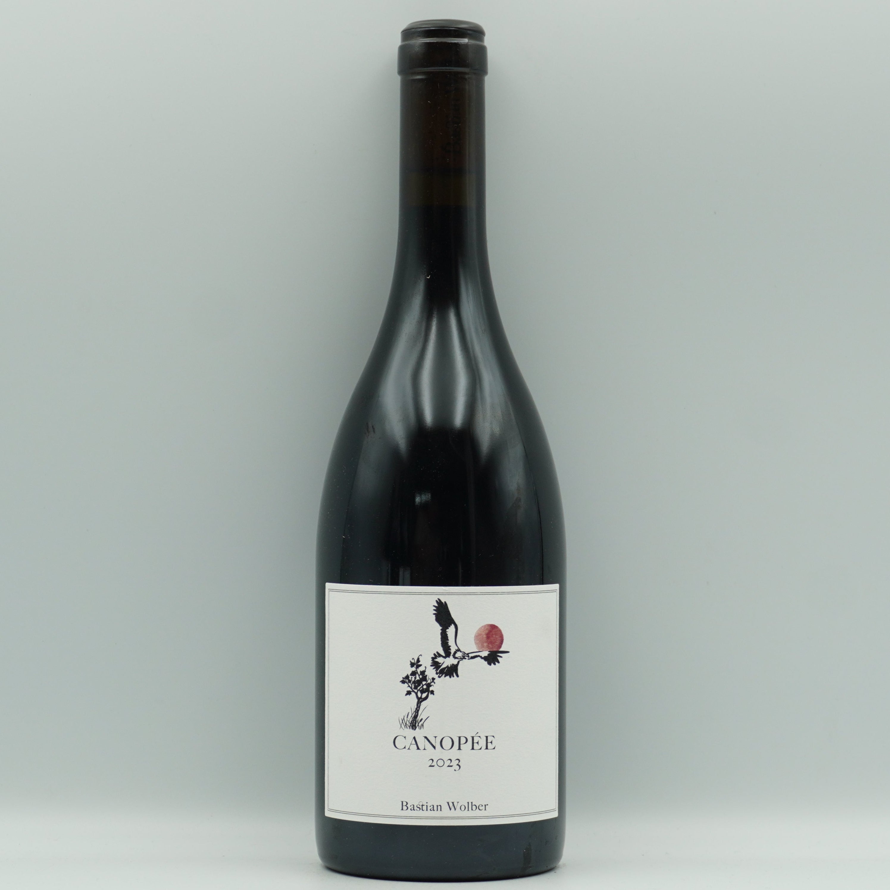 Bastian Wolber, Canopée 2023