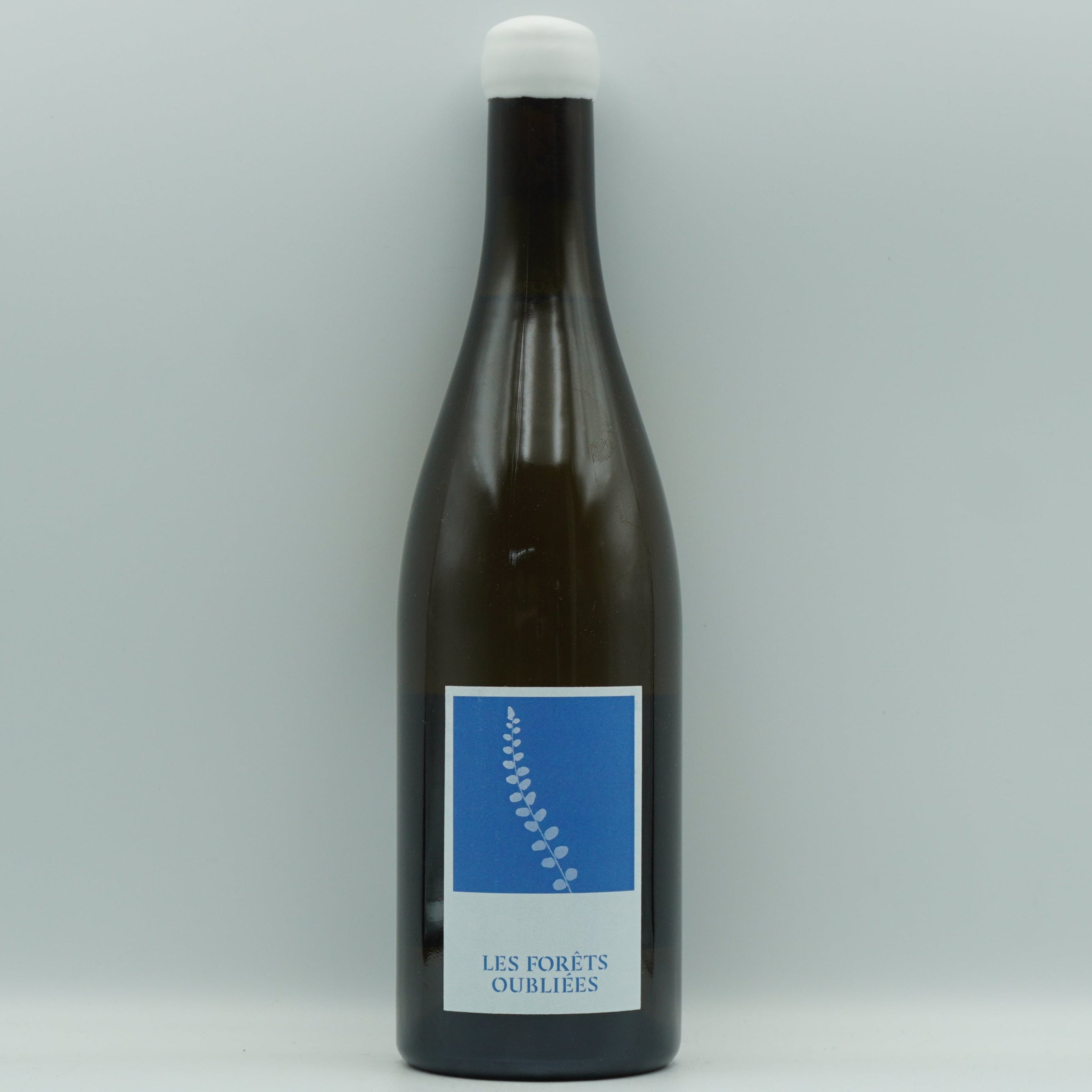 Hunter McKirdy, Les Fôrets Oubliées 2023