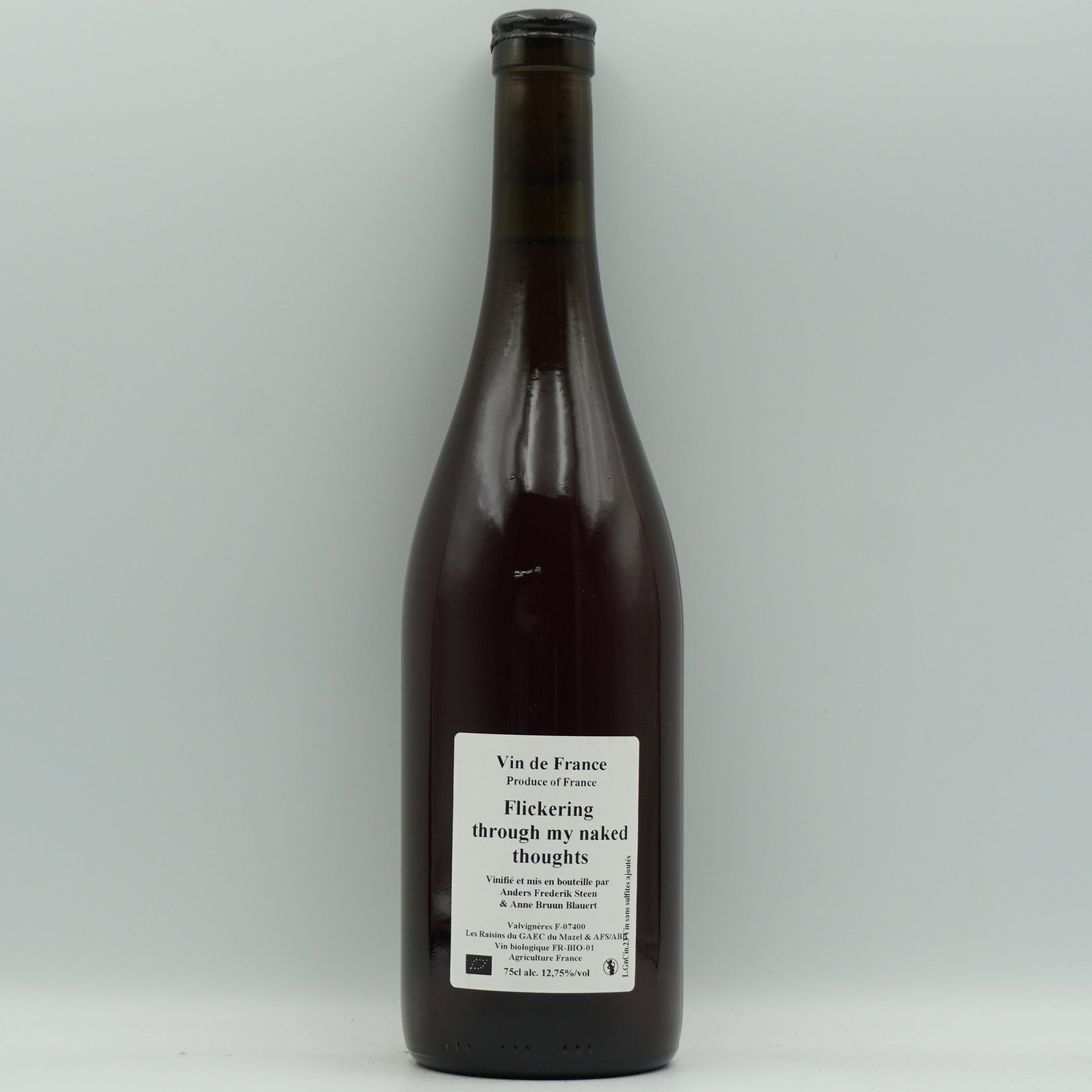 Anders Frederik Steen & Anne Bruun Blauert, Flickering through my naked thoughts 2023