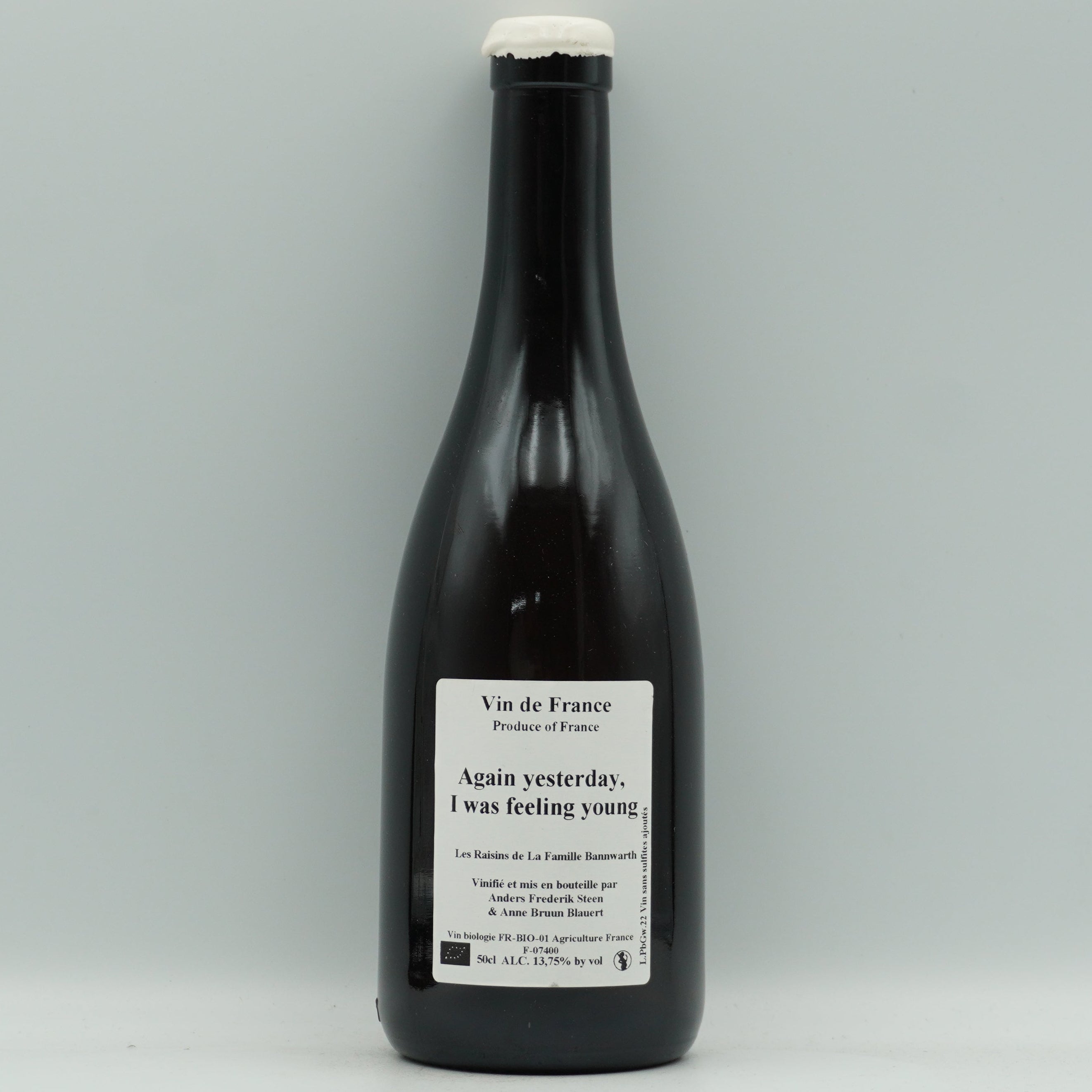 Anders Frederik Steen & Anne Bruun Blauert, Again Yesterday I was feeling young 2022 (50cl)