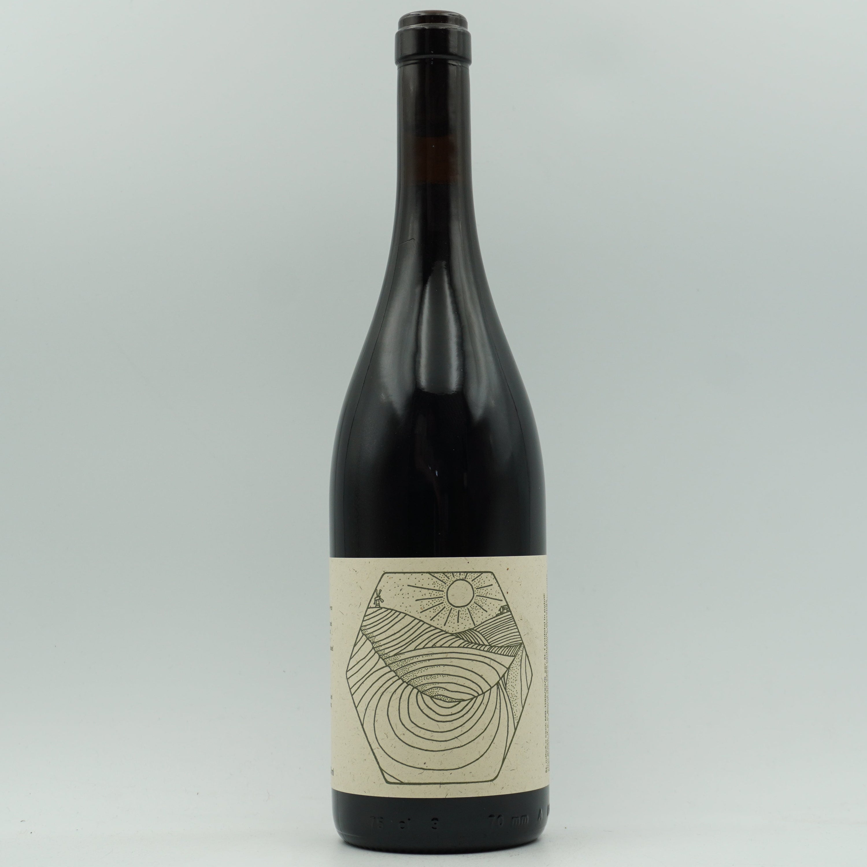 Stajerska Kollektiv, Red 2021