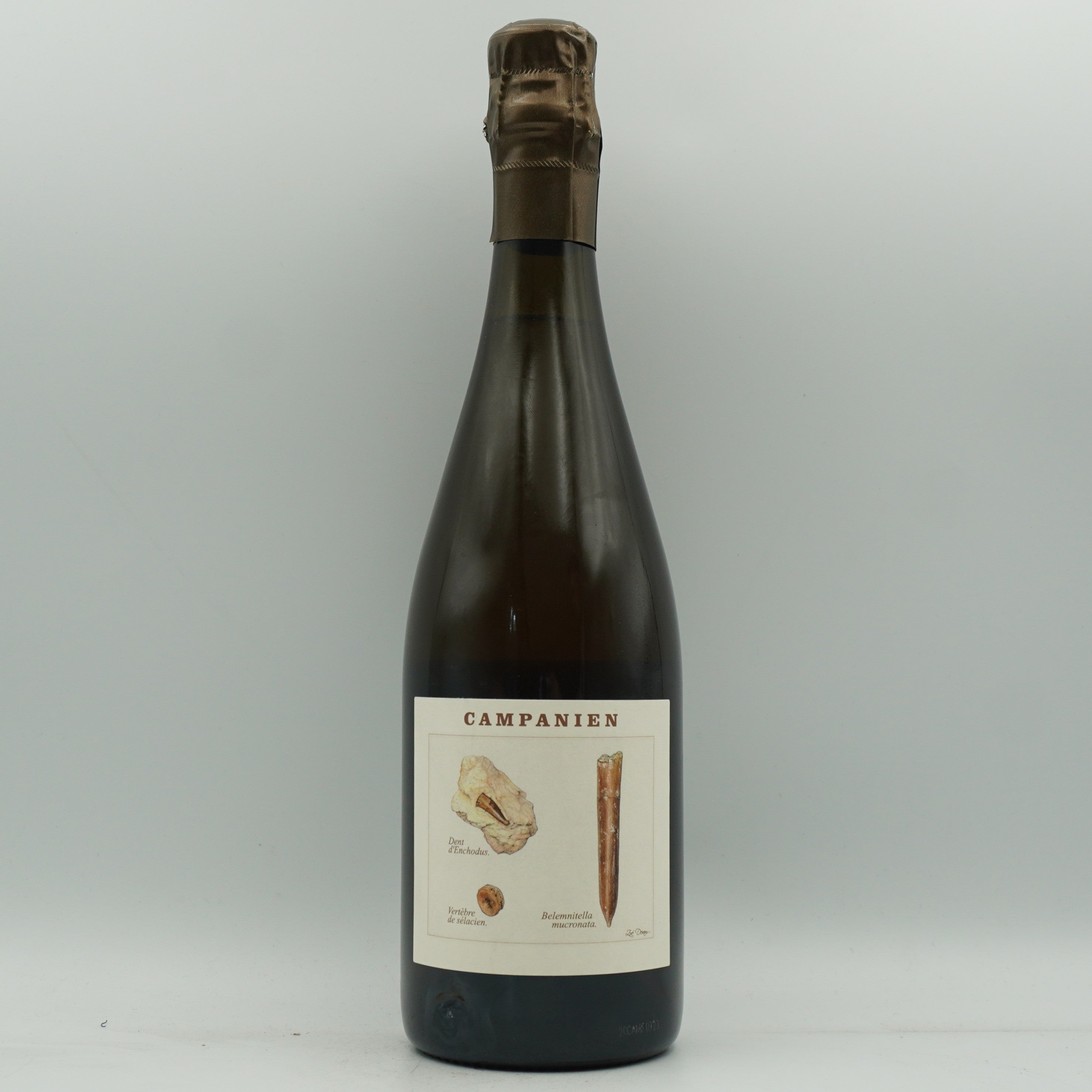 Legrand-Latour, Campanien 2019