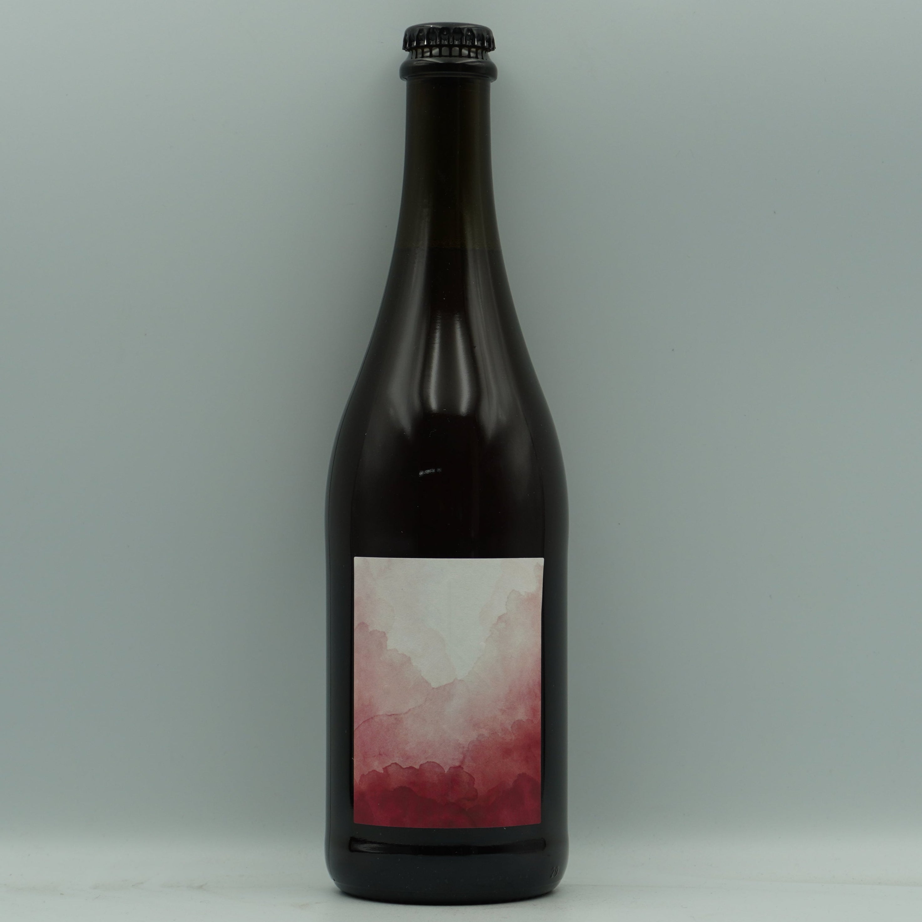 Anaïs Fanti, Pampa Rosa 2023