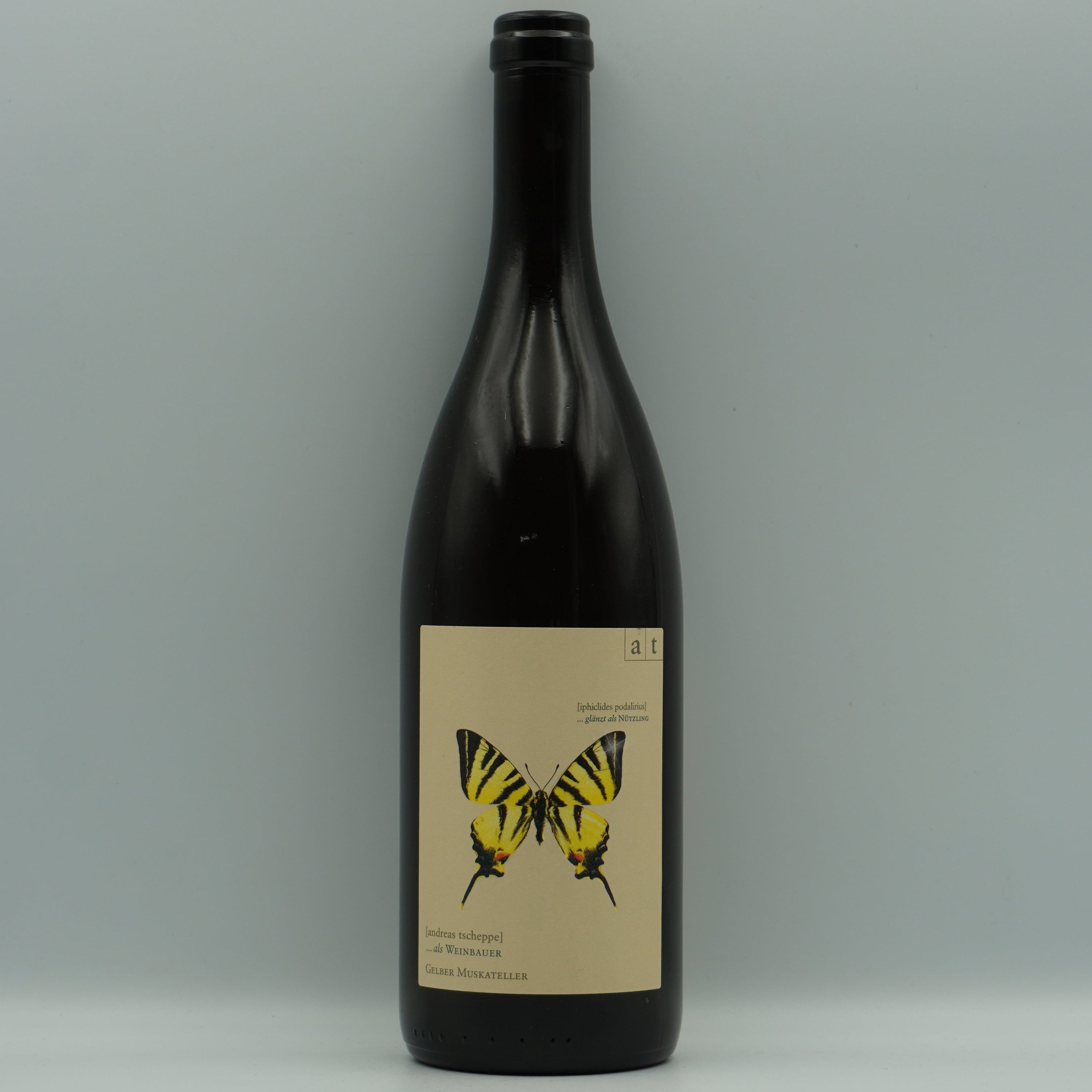 Andreas Tscheppe, Segelfalter 2023