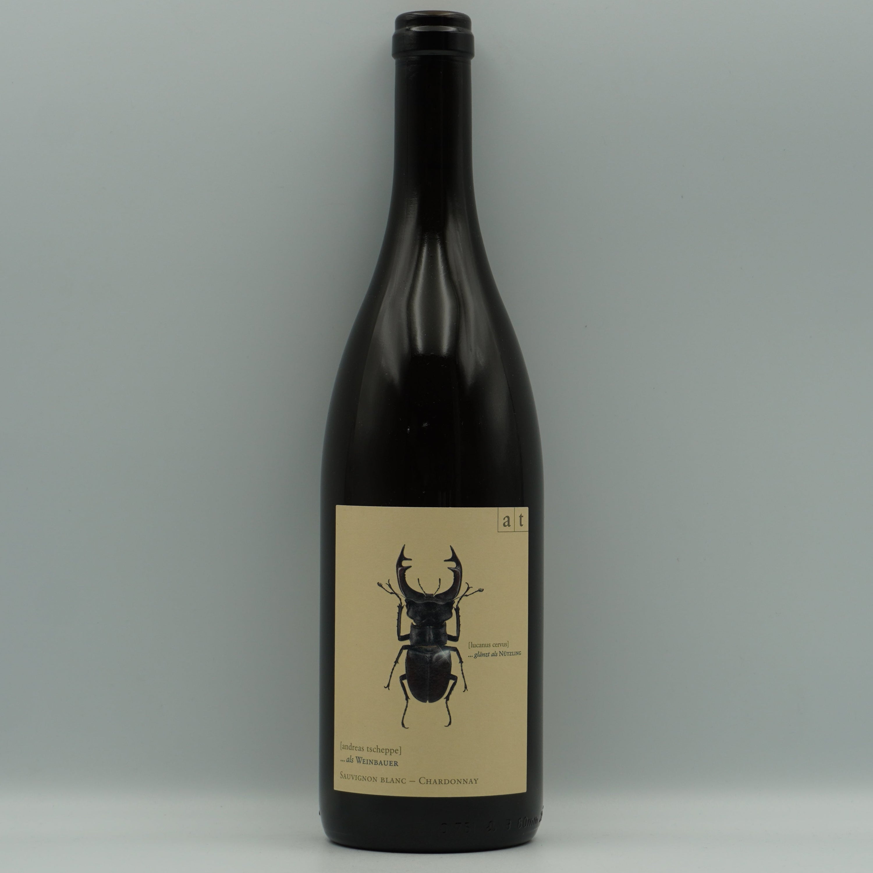 Andreas Tscheppe, Stag Beetle 2023