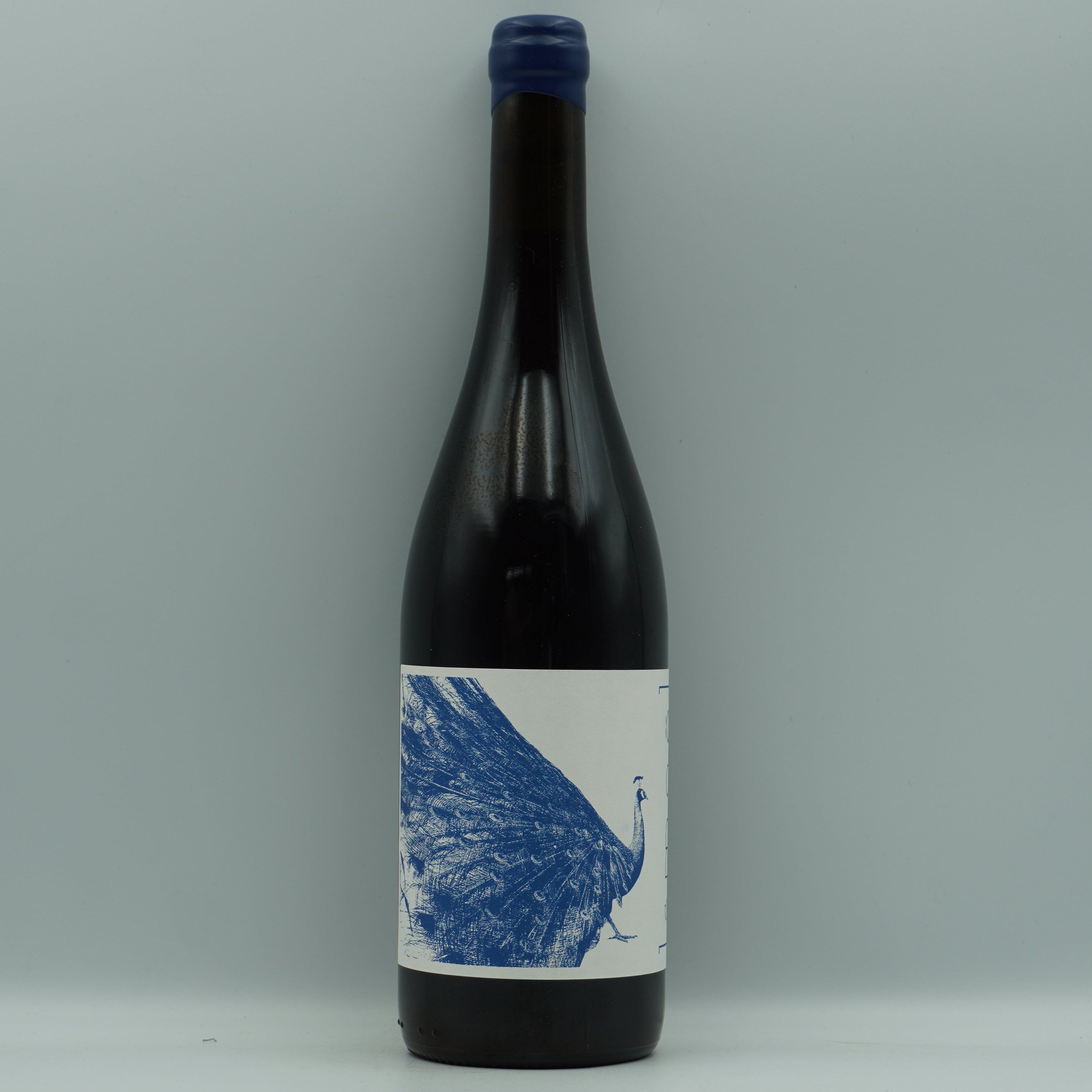 Margot et Natalia, Ismael 2023