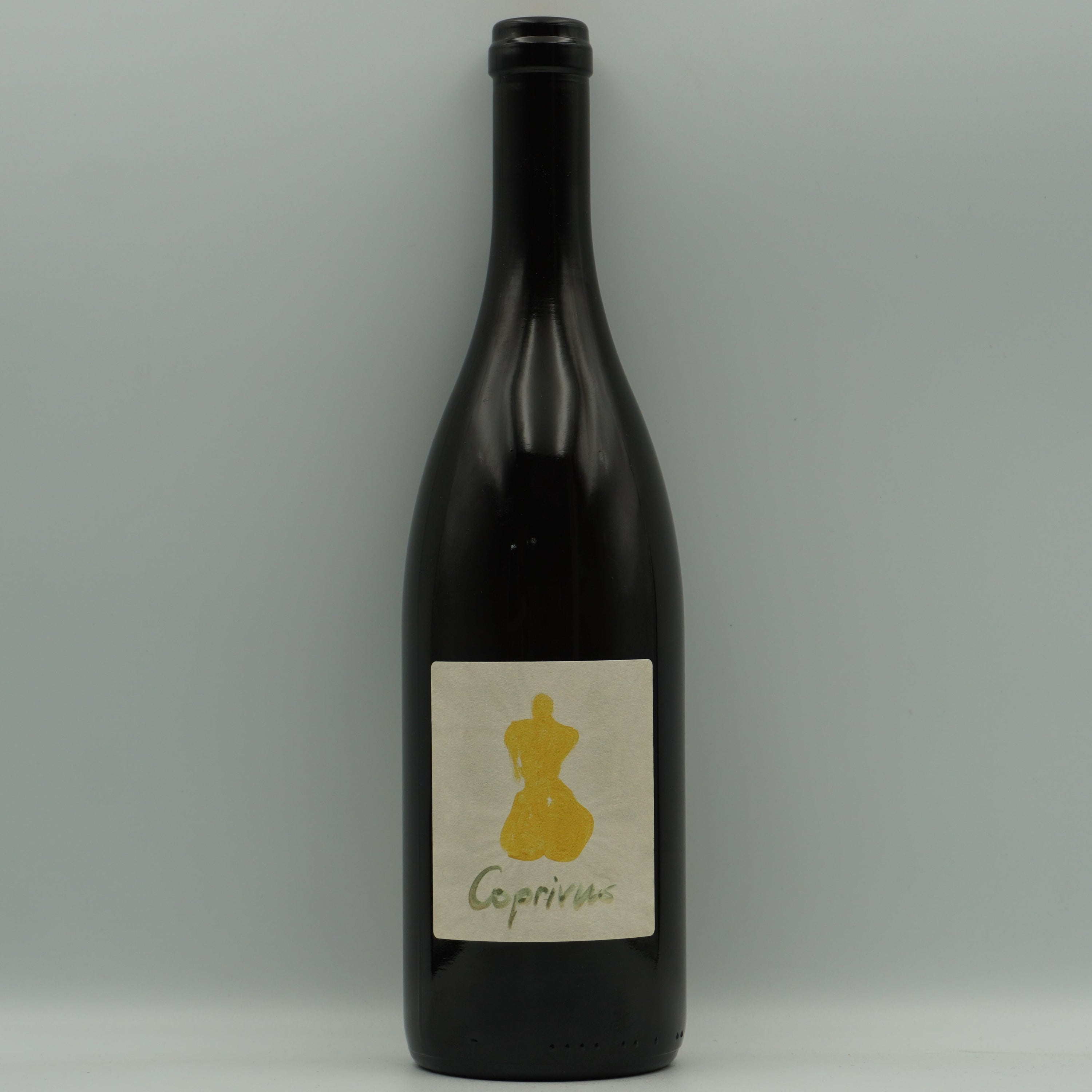 Elias Muster, Coprivus 2021